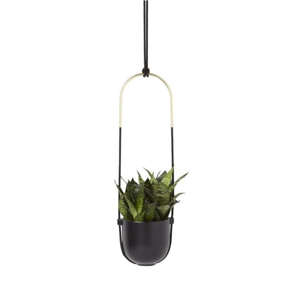 Bolo Planter Online-Schn?ppchen
