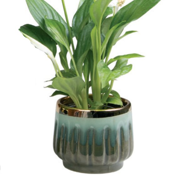 Ceramic Minipot L963 Green Ø7 H7cm Zu verkaufen