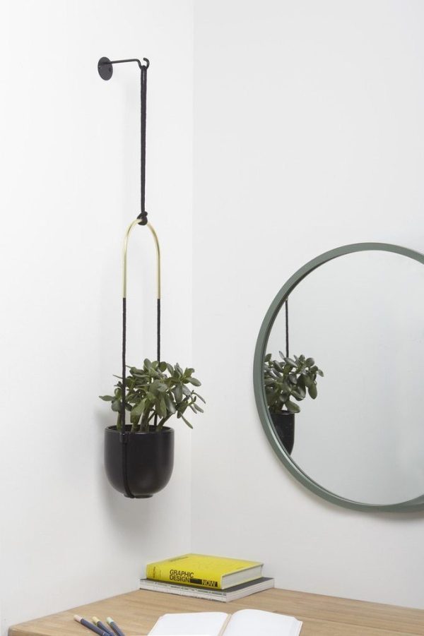 Bolo Planter Online-Schn?ppchen – Bild 5